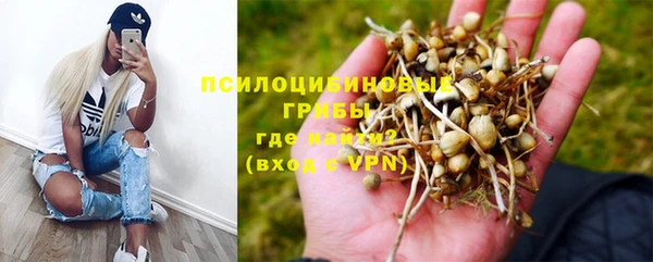 амф Сосновоборск