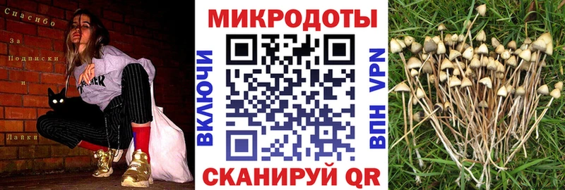 сколько стоит  Бронницы  Псилоцибиновые грибы Cubensis 